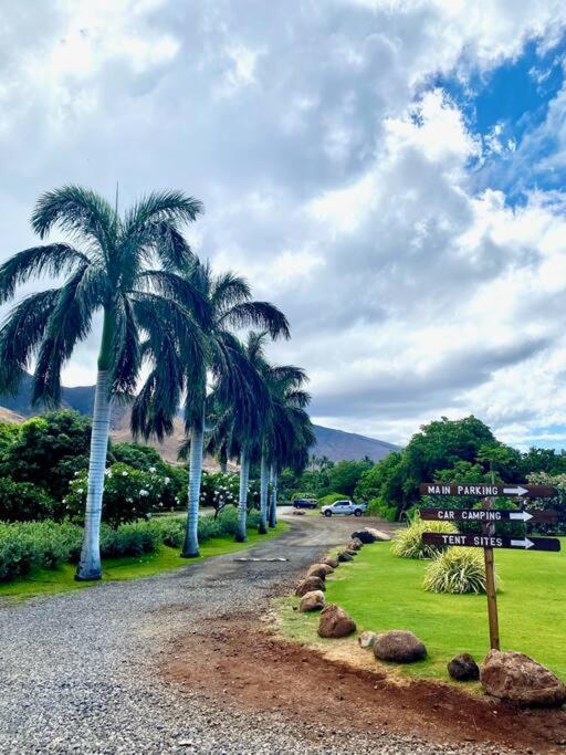Campervan/Maui Hosted By Go Camp Maui Kihei Dış mekan fotoğraf